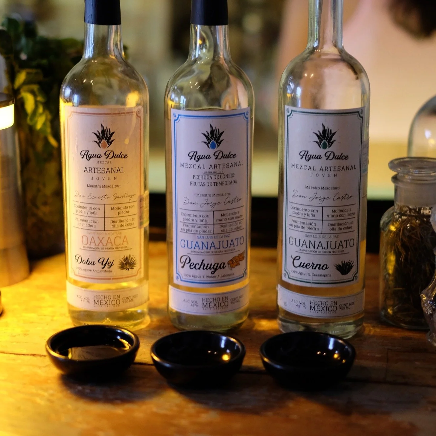 Fantastic mezcal tasting at @el.curandero.qro