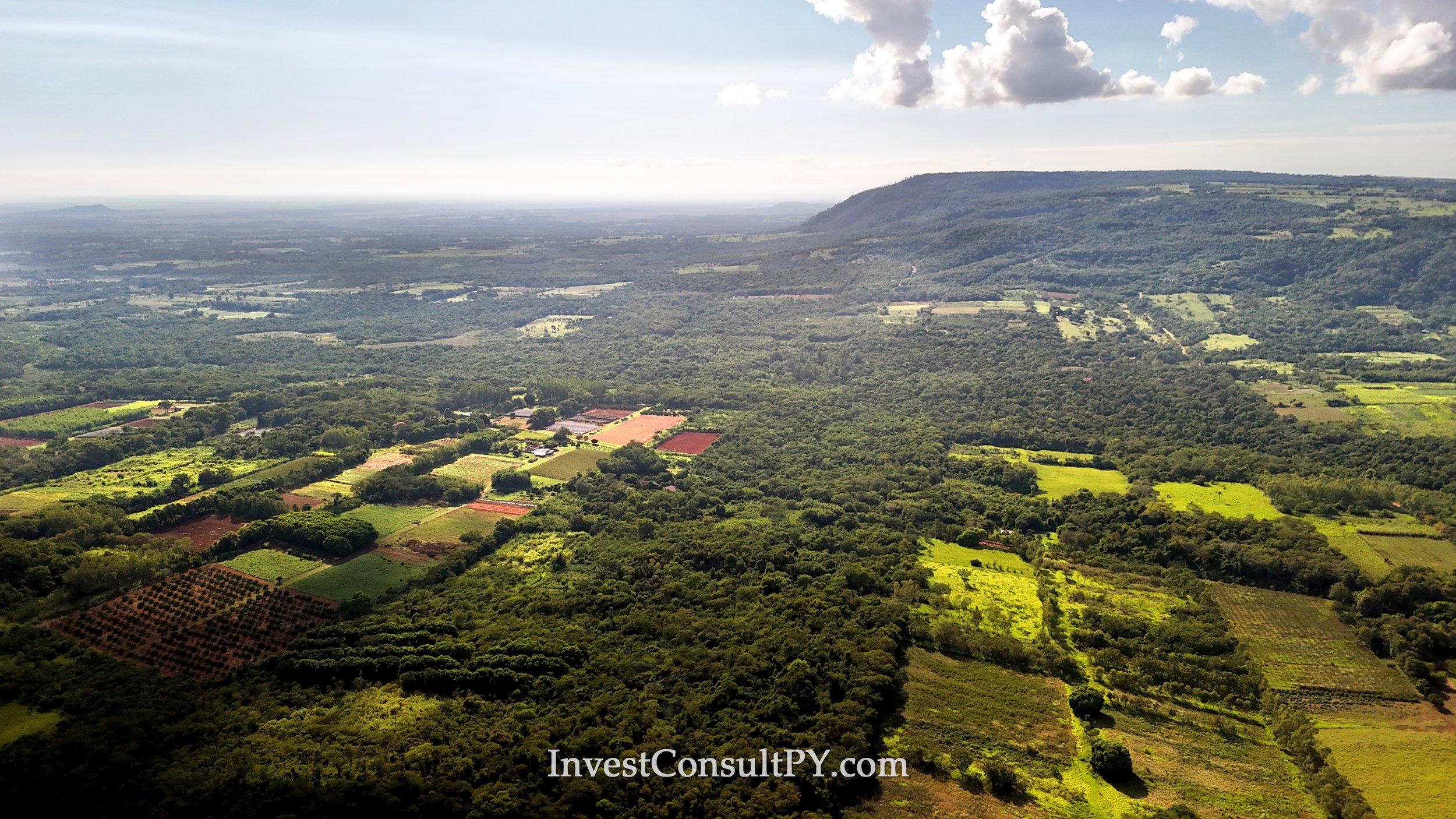 19 hectares à La Colmena, Paraguari