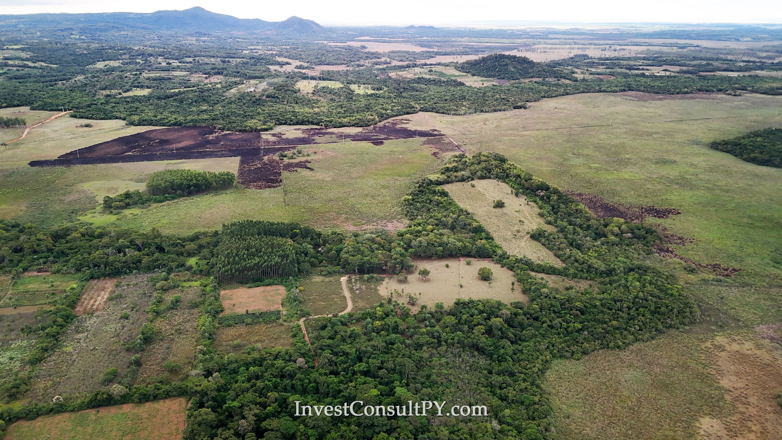 55 hectares à la Colmena, Paraguari