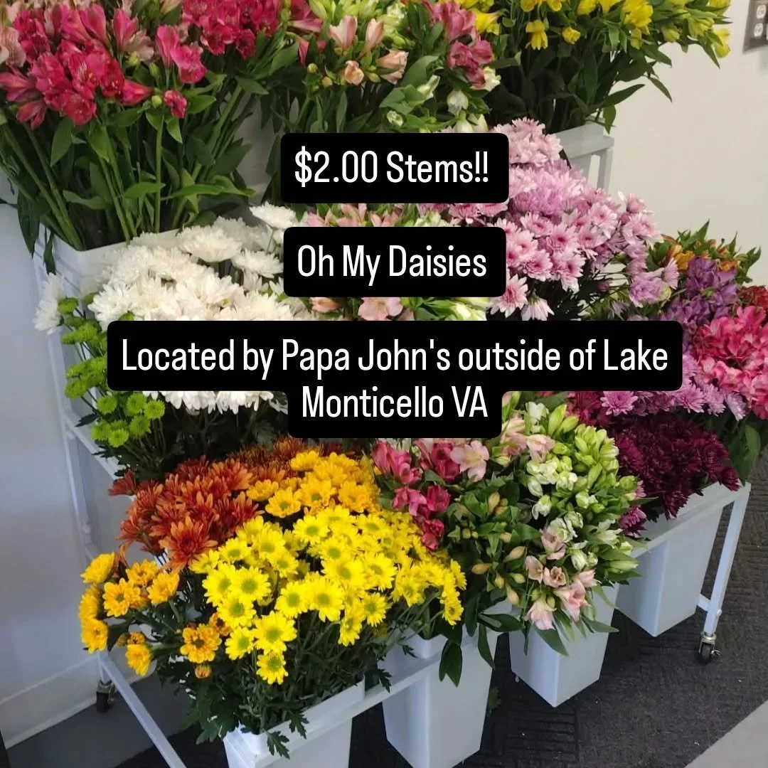 Come enjoy a pick your own $2.00 stems! We'll wrap them up for you for free! Now through Saturday! 11/15. 

#flowers #buildyourownbouquet #lakemonticello #florist