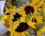 Sunflower Bouquet