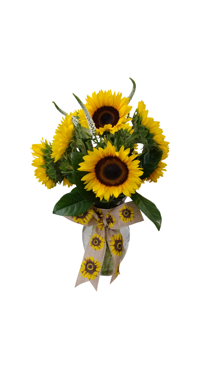 Sunflower Flowers Vase Arrangement
