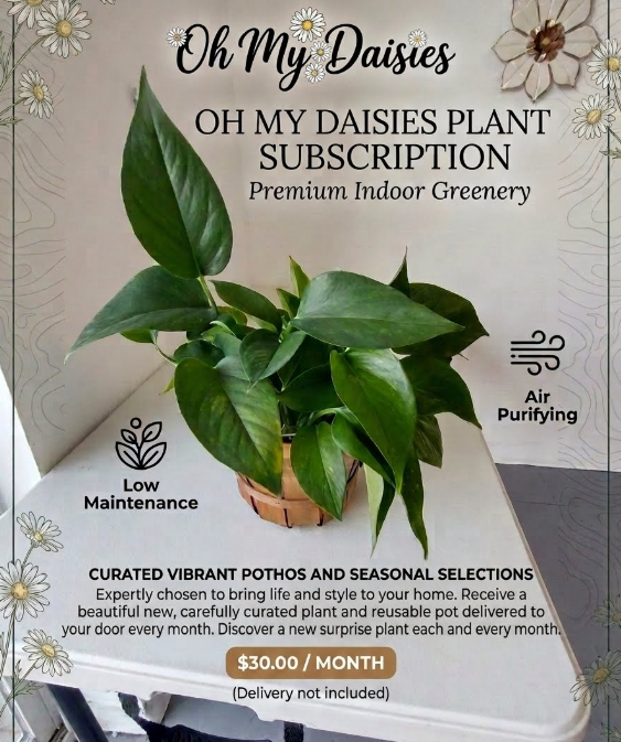 Mystery Plant Subscription