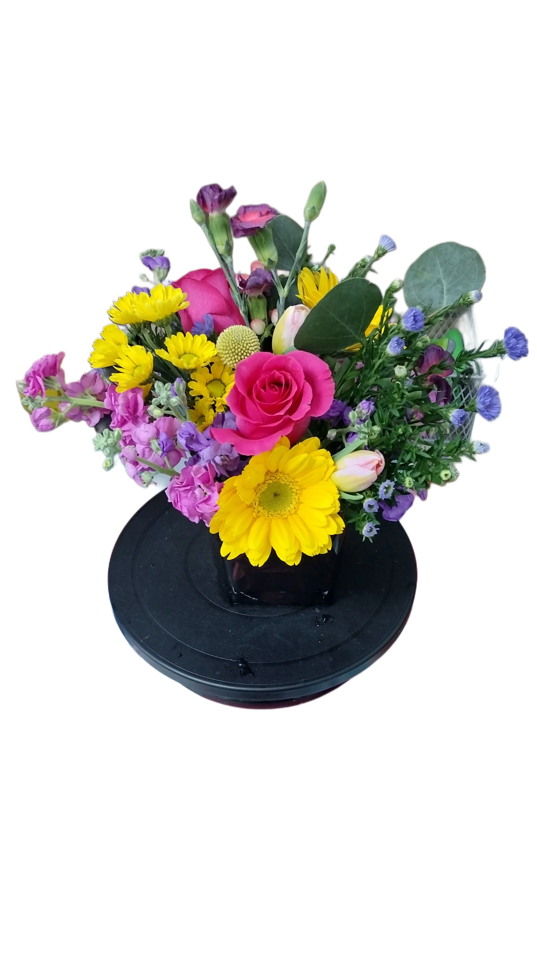 Untitled Project (1).jpg