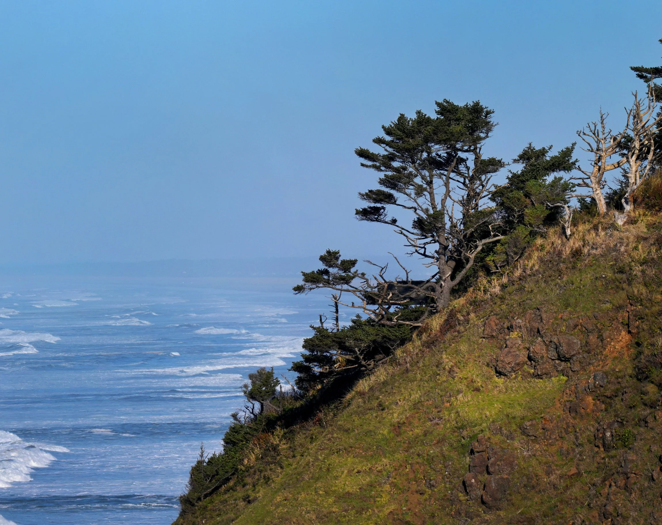 Cape Disappointment Washington Jan 19 2025 aB.jpg