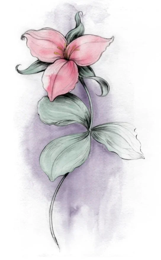 Illustration007FM.jpg