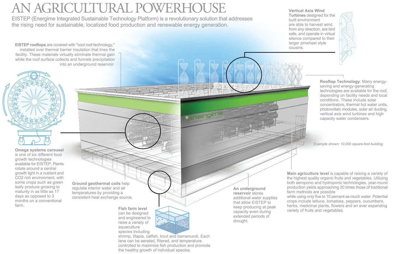Eistep graphic fm.jpg