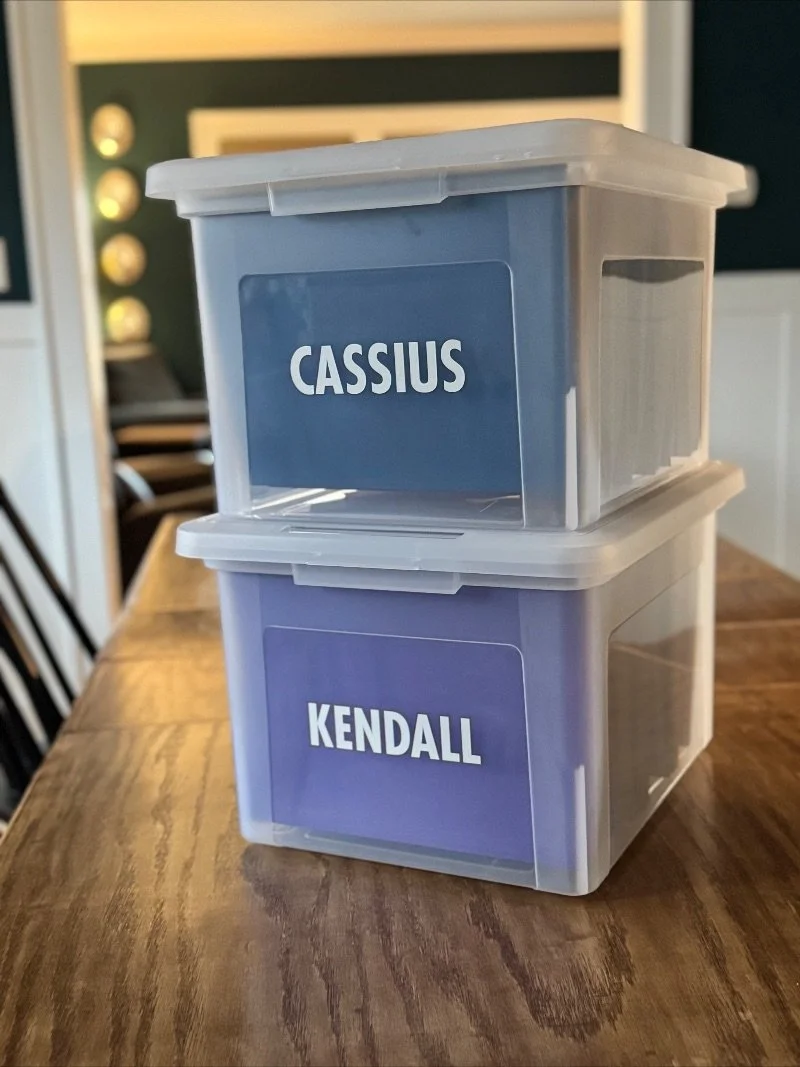 Two memory tote boxes with kids' names on the outside