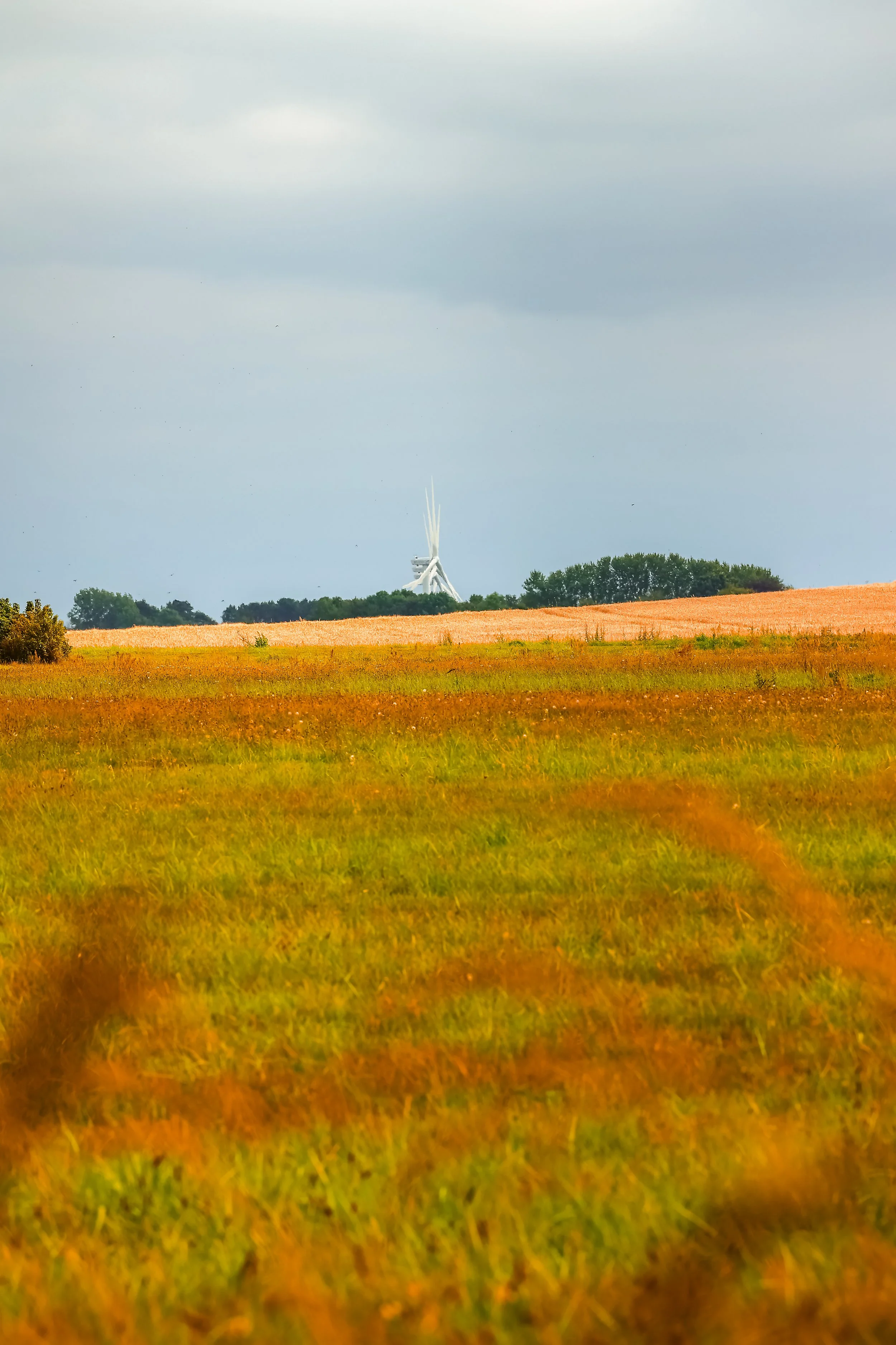 A landscape with a grassy field in the foreground and a distant, modern white tower or sculpture on the horizon under a cloudy sky.