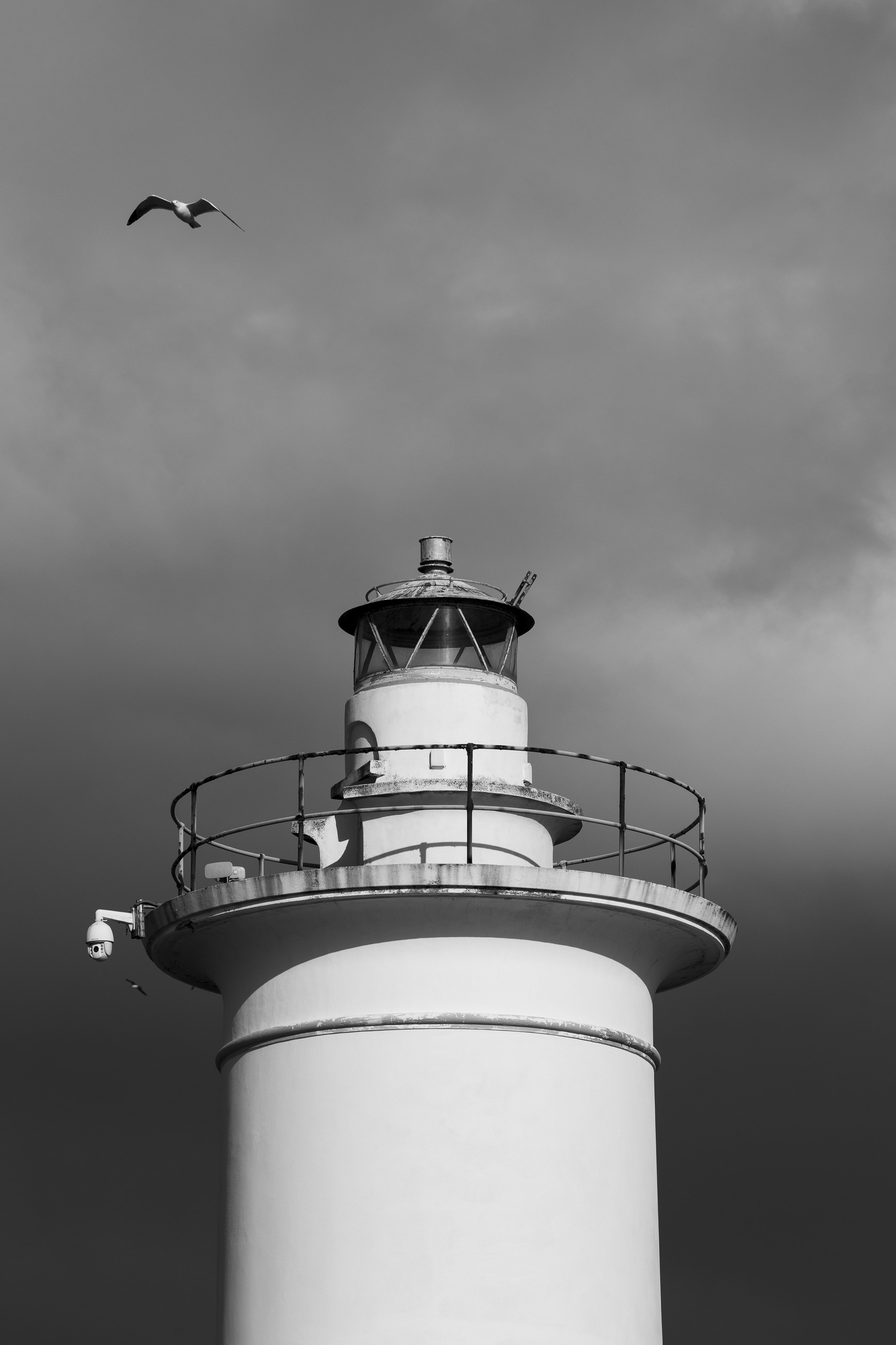 Viareggio-12.jpg
