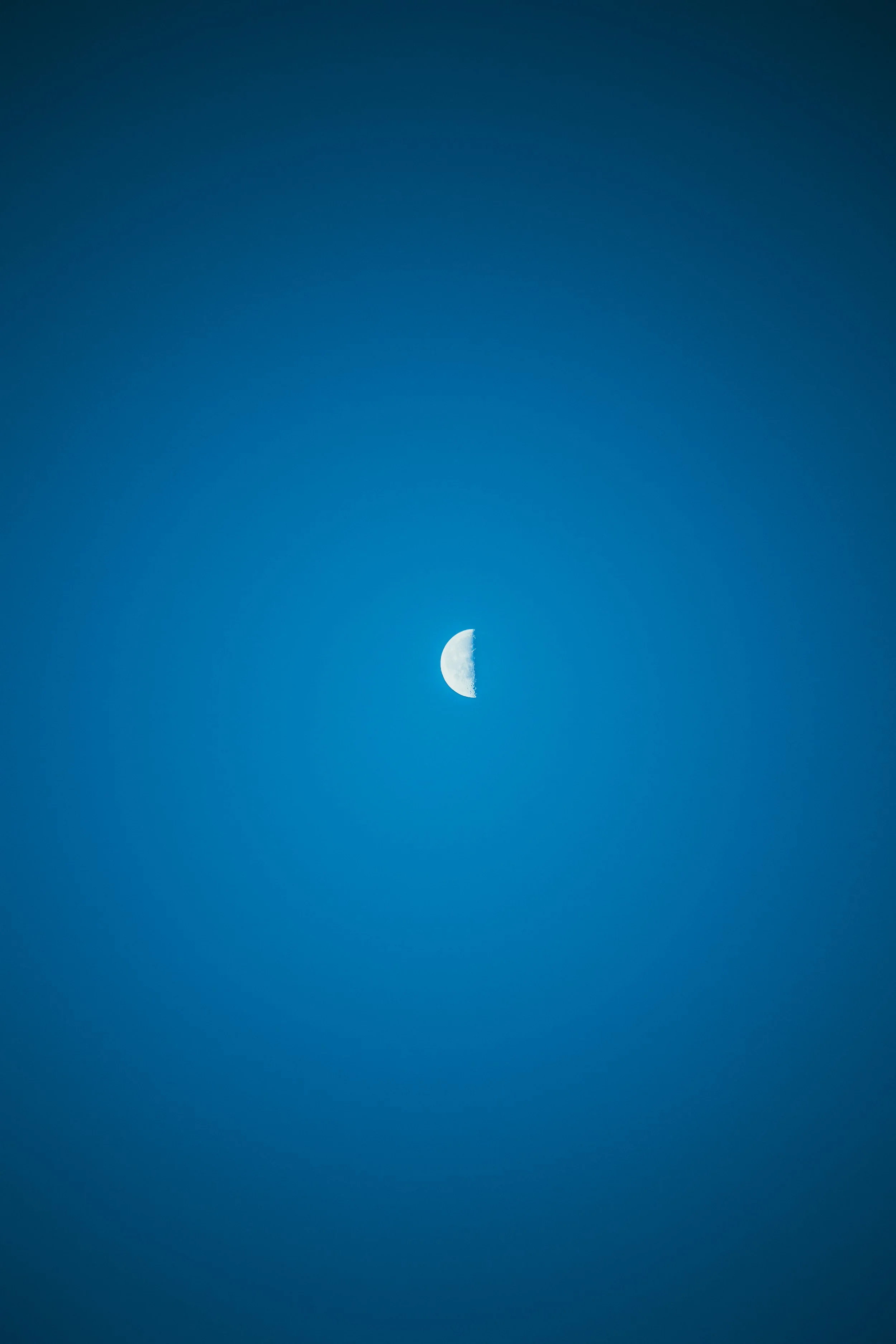 A clear blue sky with a half moon visible.