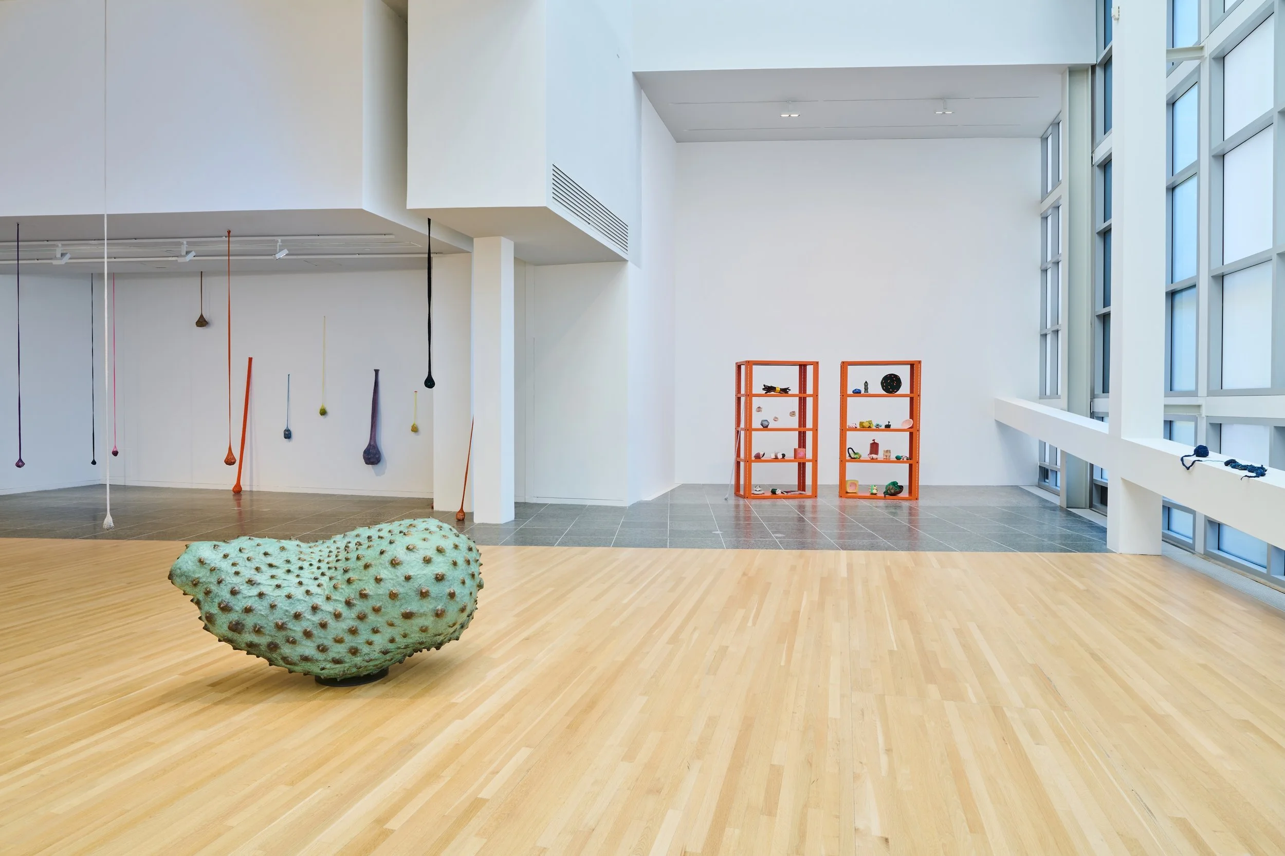 Ryan_Unruly Objects_Wexner_installation view_06.jpg