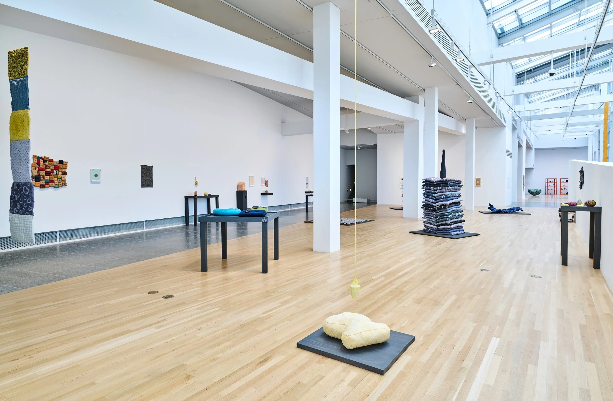 Ryan_Unruly Objects_Wexner_installation view_03.jpg