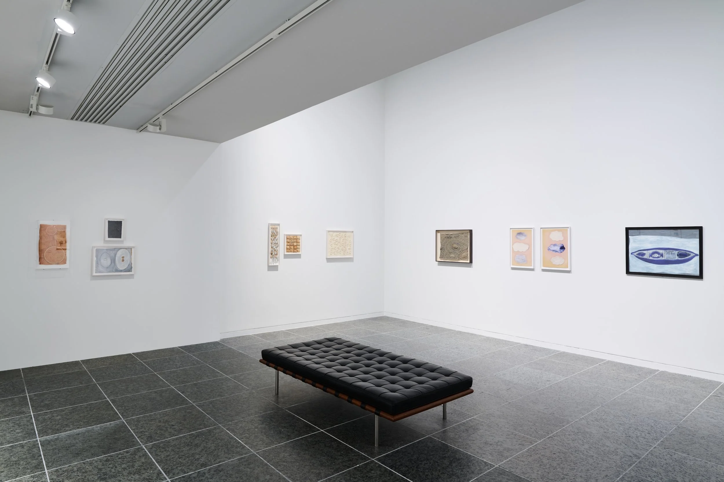 Ryan_Unruly Objects_Wexner_installation view_05.jpg