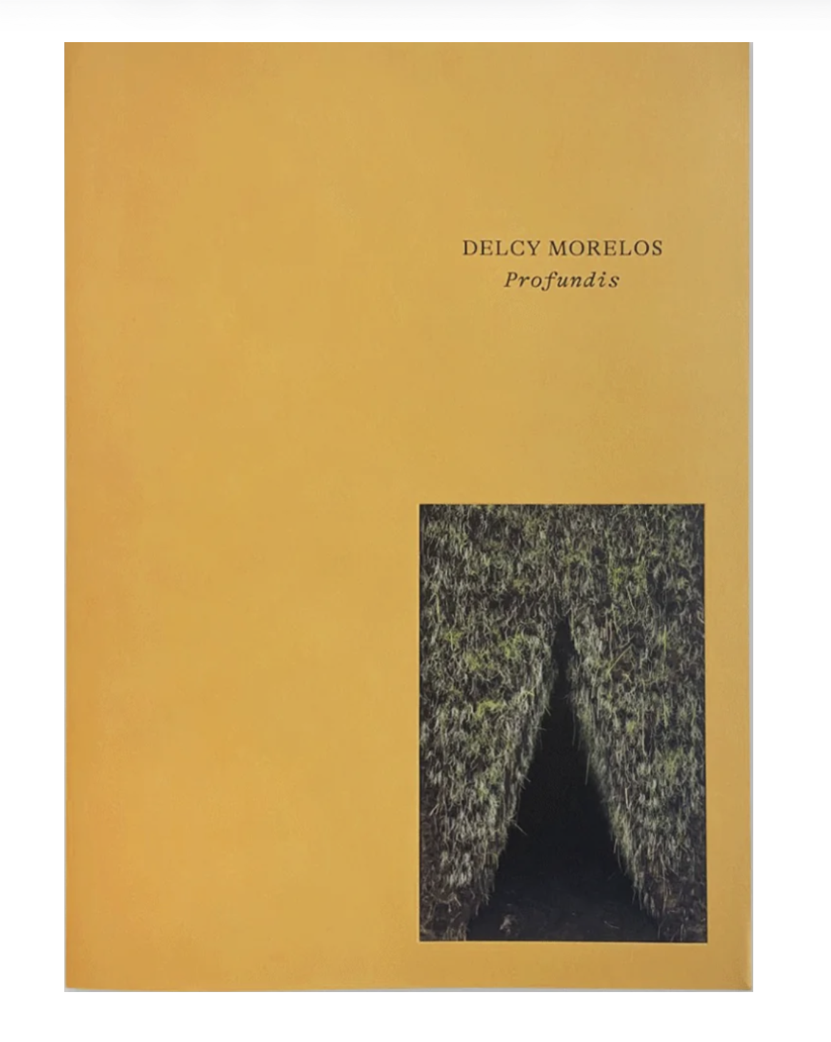 Delcy Morelos: Profundis book cover