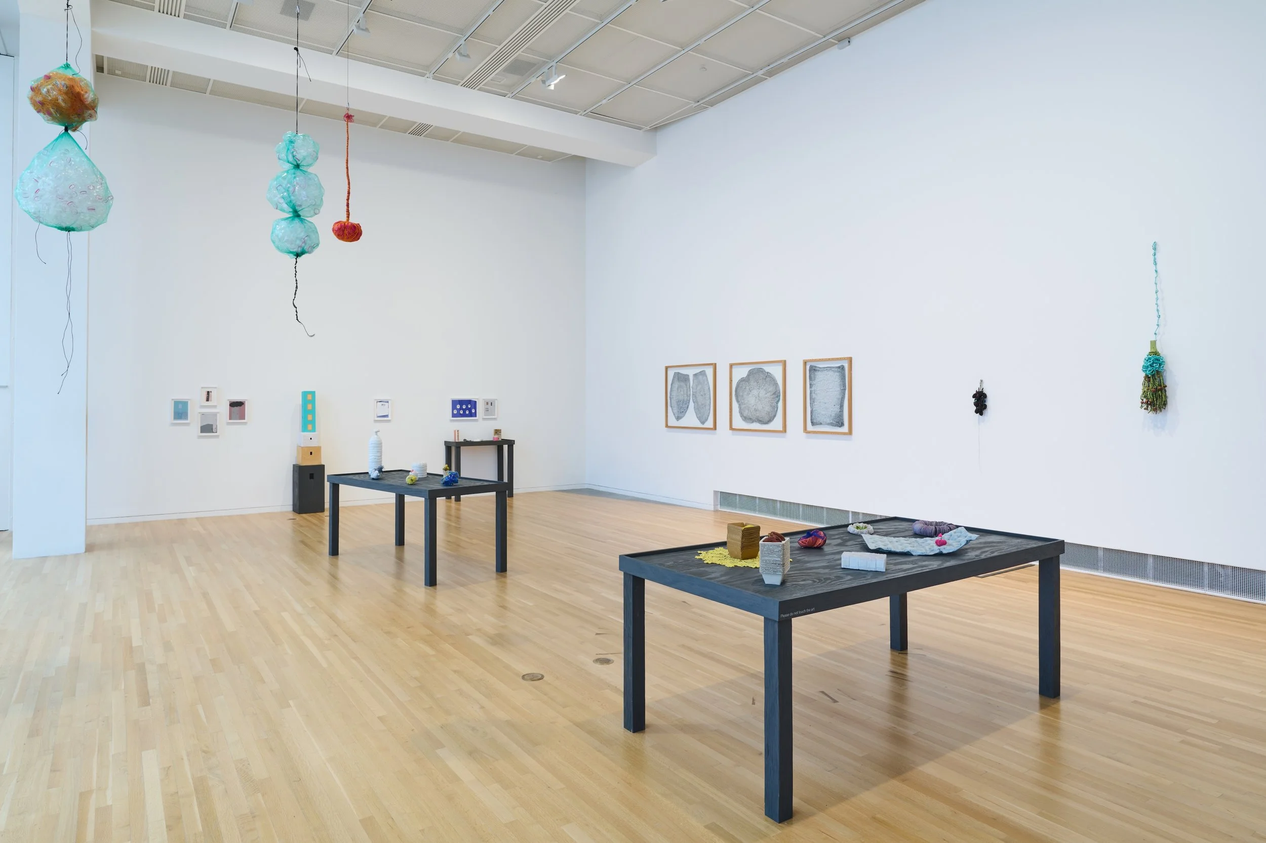 Ryan_Unruly Objects_Wexner_installation view_07.jpg