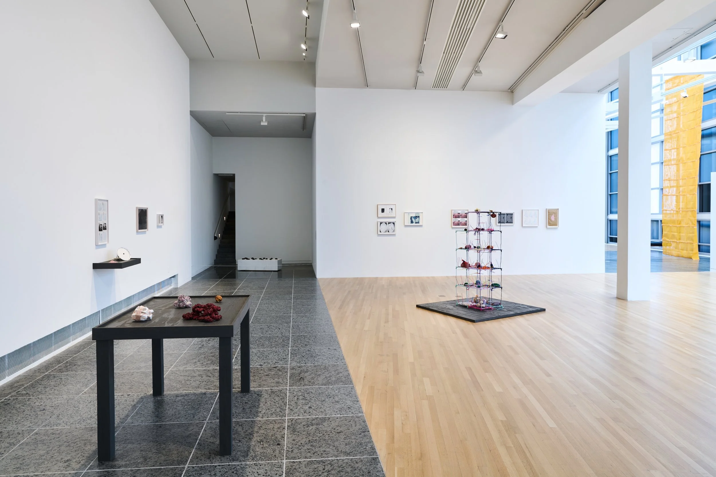 Ryan_Unruly Objects_Wexner_installation view_02.jpg