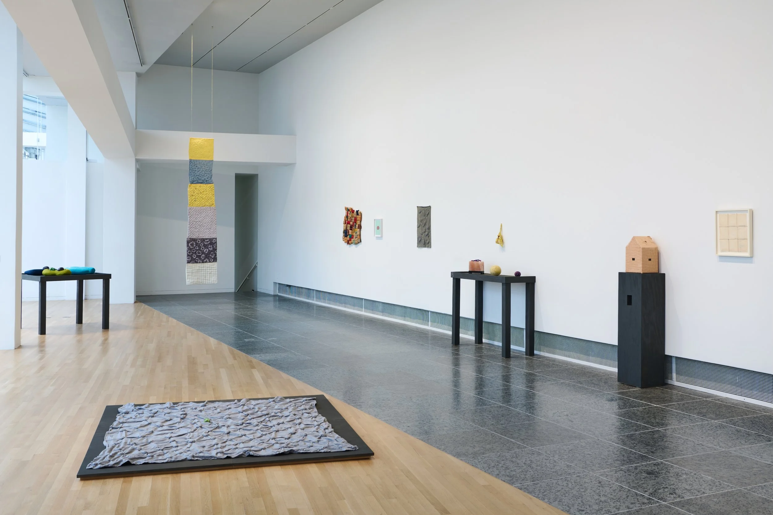 Ryan_Unruly Objects_Wexner_installation view_04.jpg