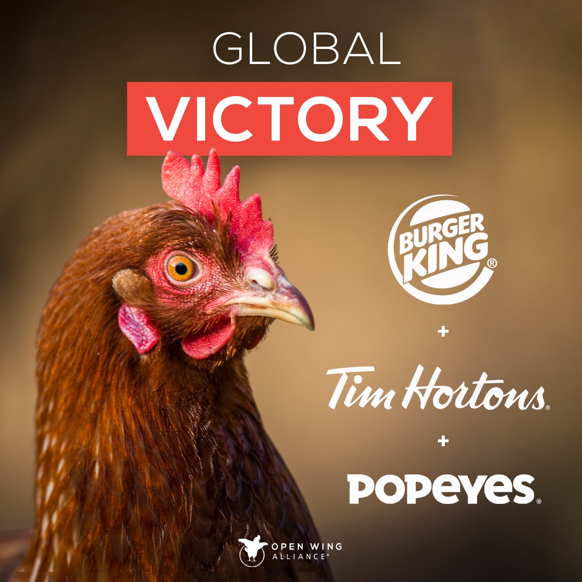 campaigns-RBI-tim-hortons-burger-king-popeyes (Cristyn Hypnar's conflicted copy 2020-10-16) copy.jpg