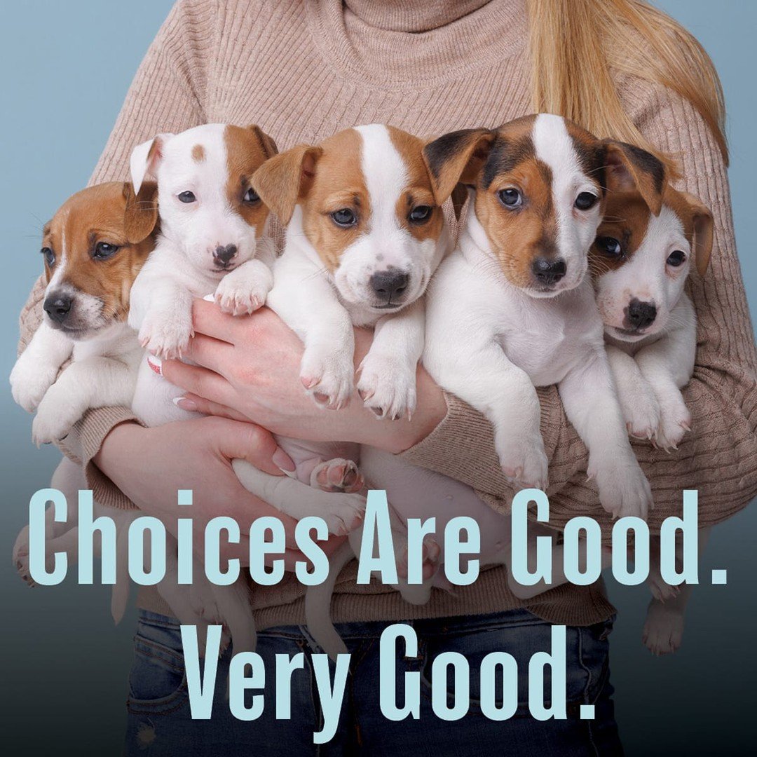 Considering one of the biggest financial decisions you might ever make? It helps to have choices. We make your schedule the priority, delivering the information you need when you need it. We're ready when you are. Call us!