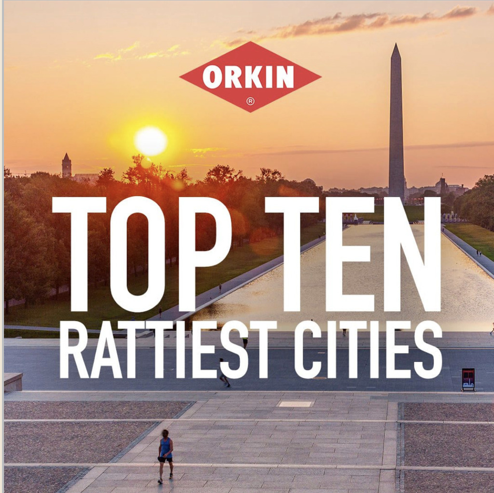 Screenshot 2025-05-01 at 12.27.25 AM.png