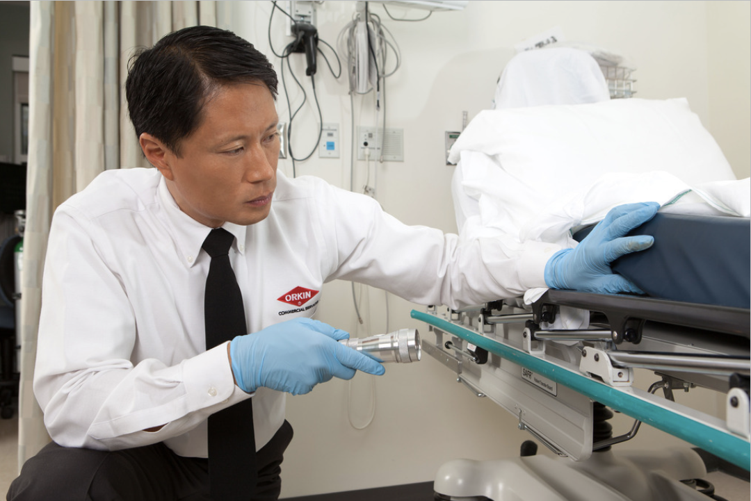 Screenshot 2025-05-01 at 12.25.24 AM.png