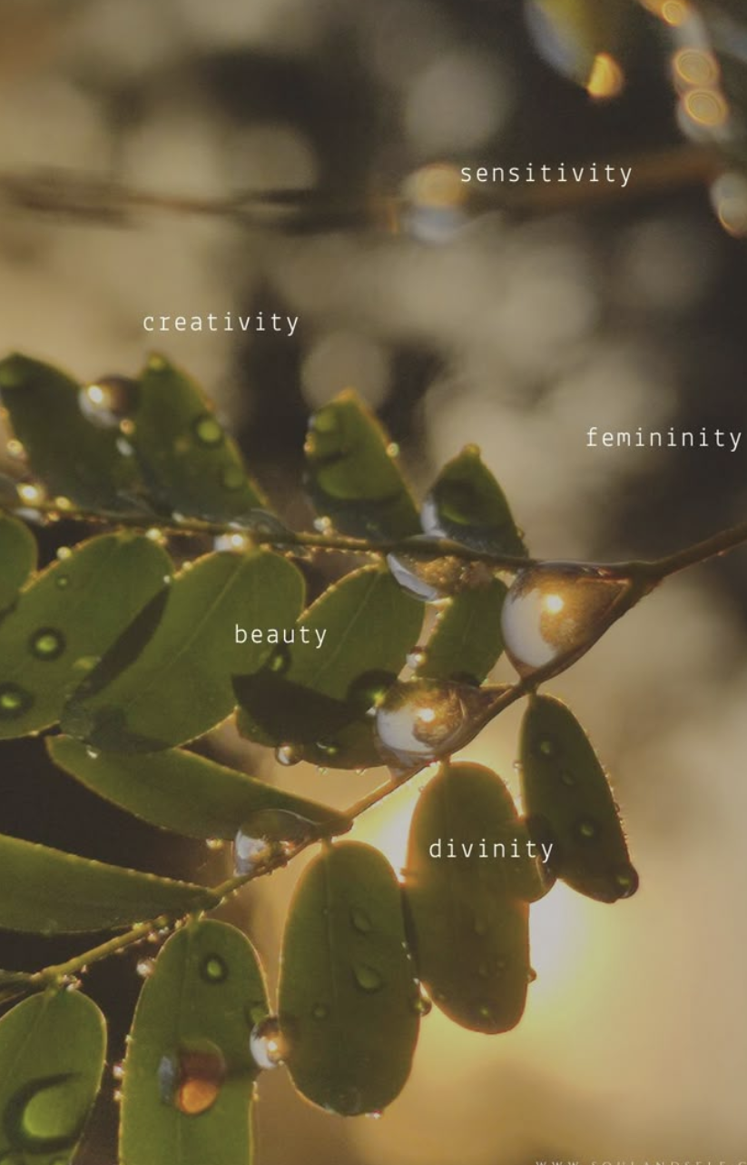 Episode 67: Breaking Through Barriers: How to Take Bold Action