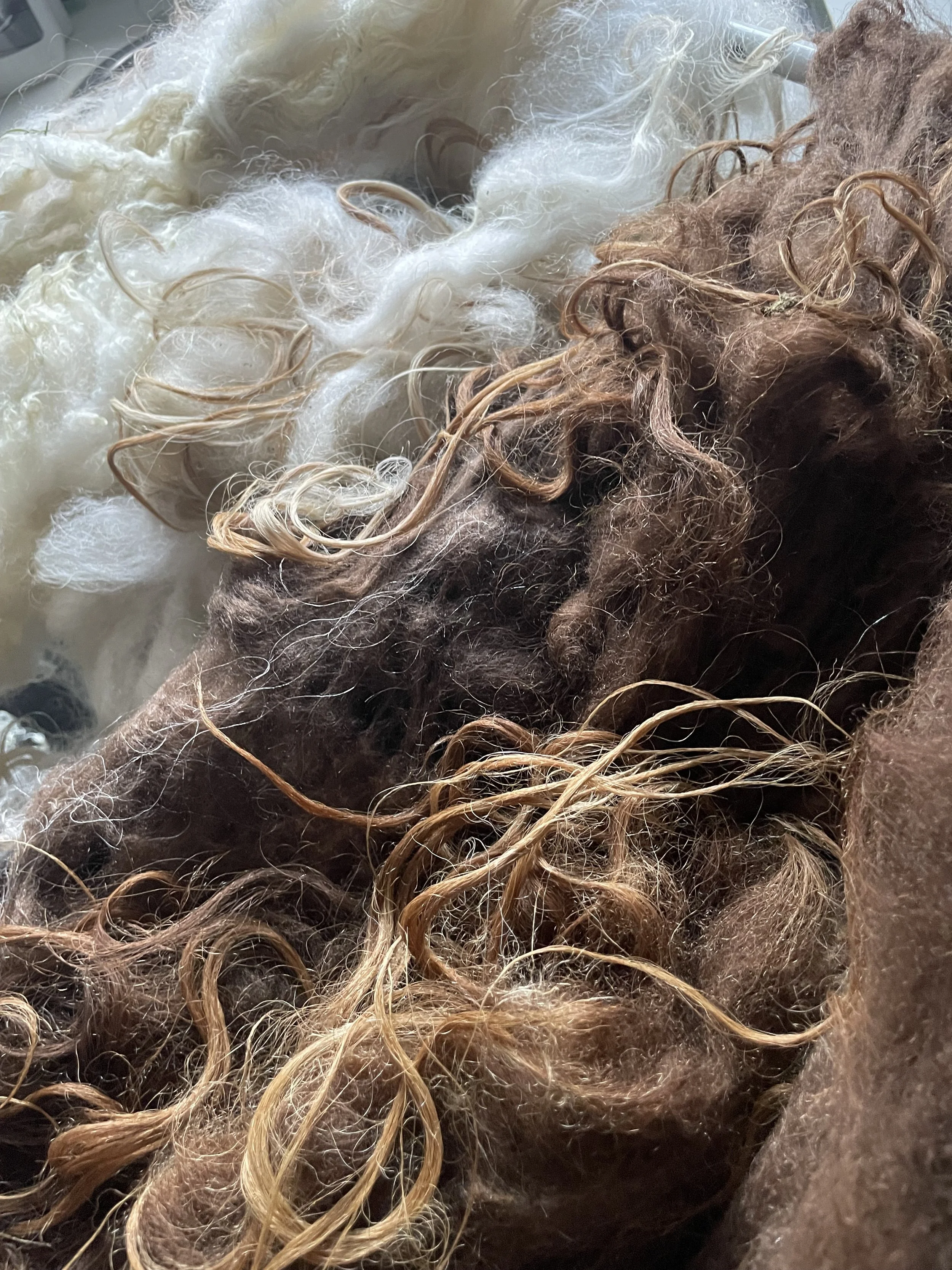 Close-up of textured lamb wool fibers with shades of brown and white.