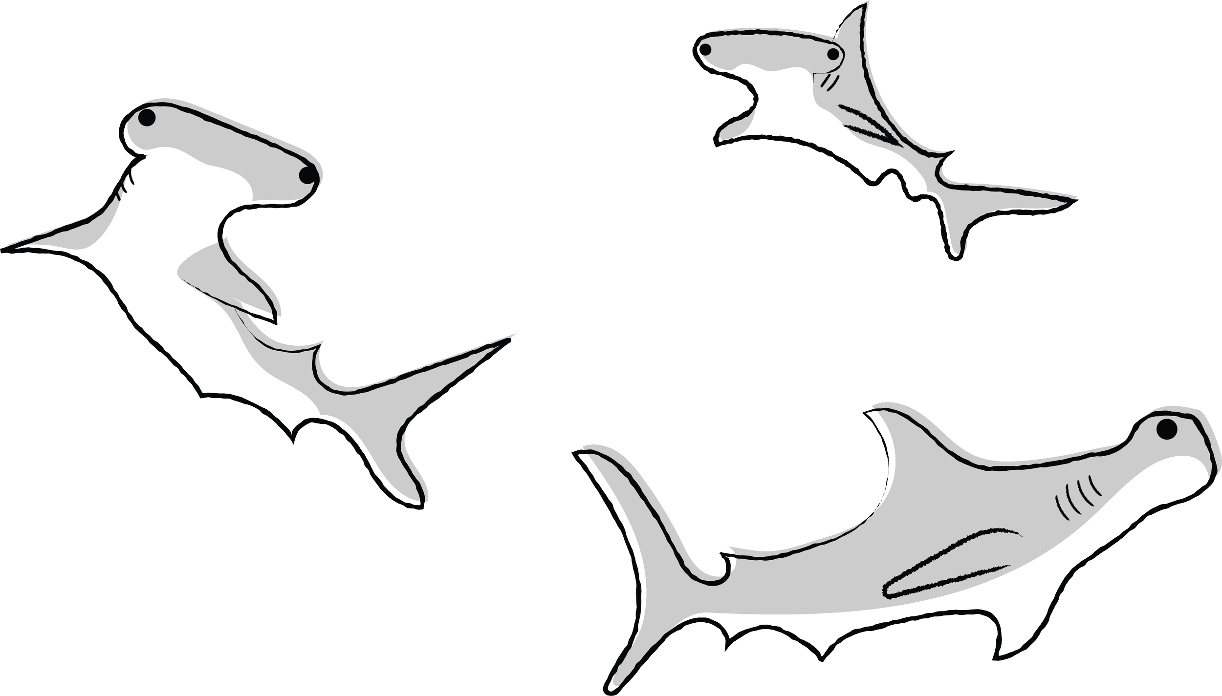 Be A Shark Illustration — Three circling hammerhead sharks