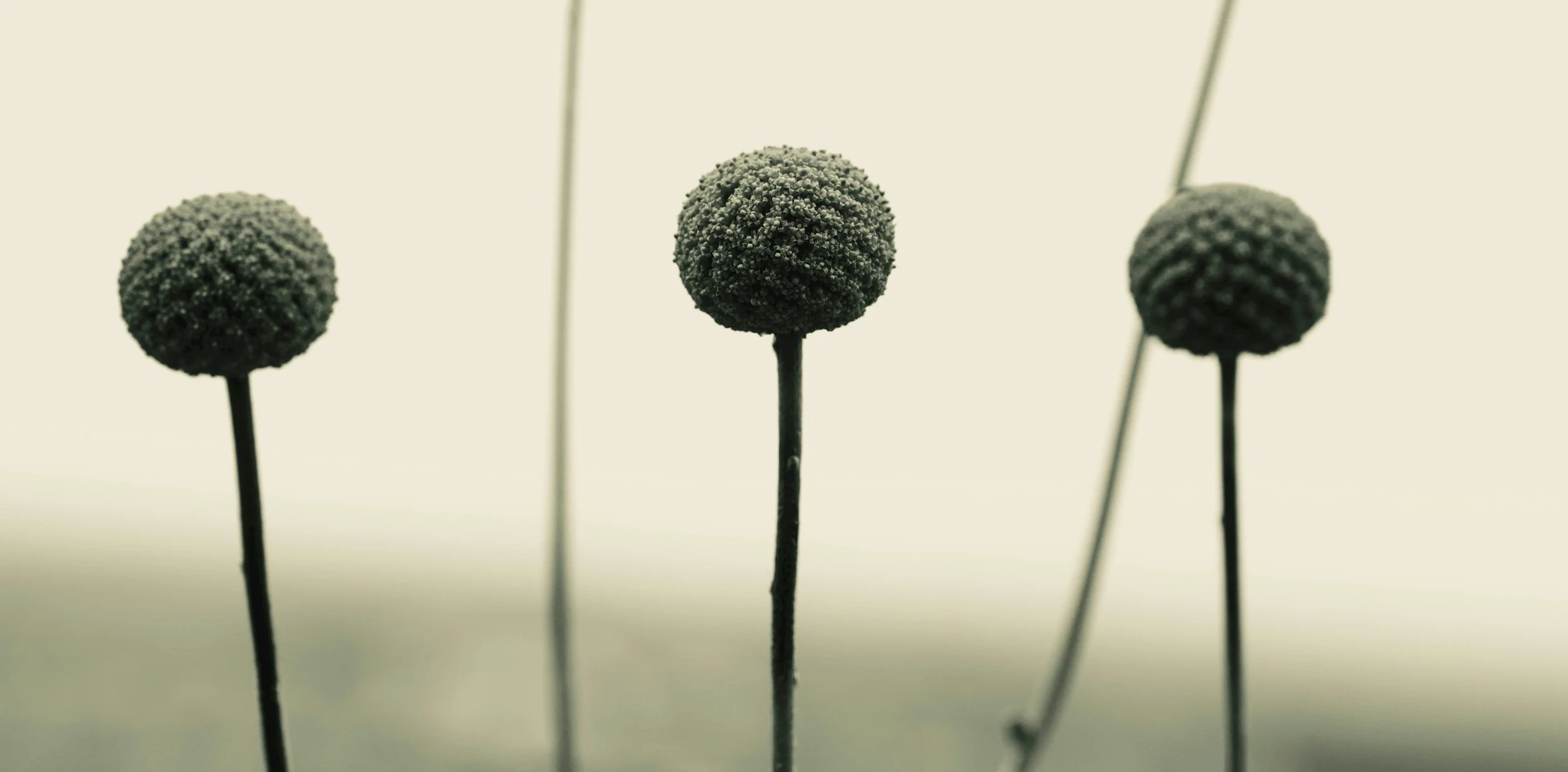 Workshop Letting Go — Soltar para Avançar