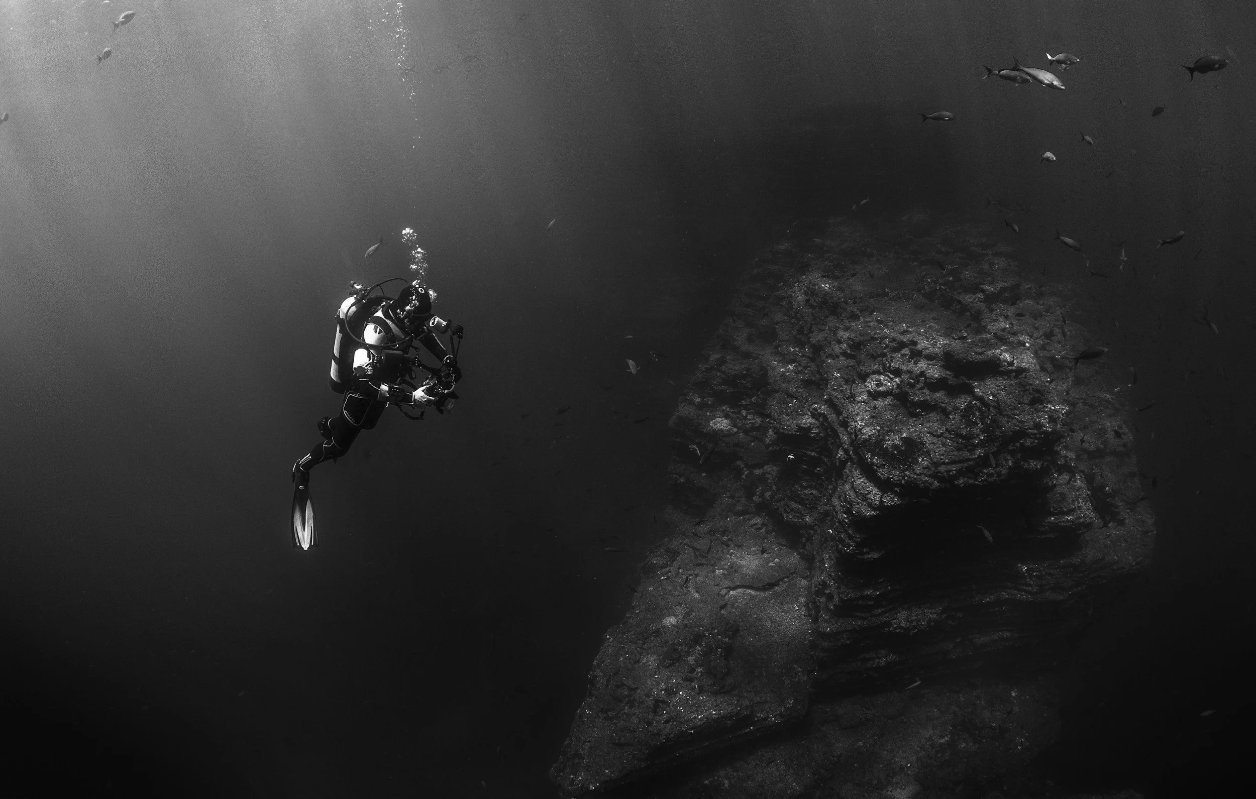 A scuba diver exploring underwater near rocks and a school of fish.