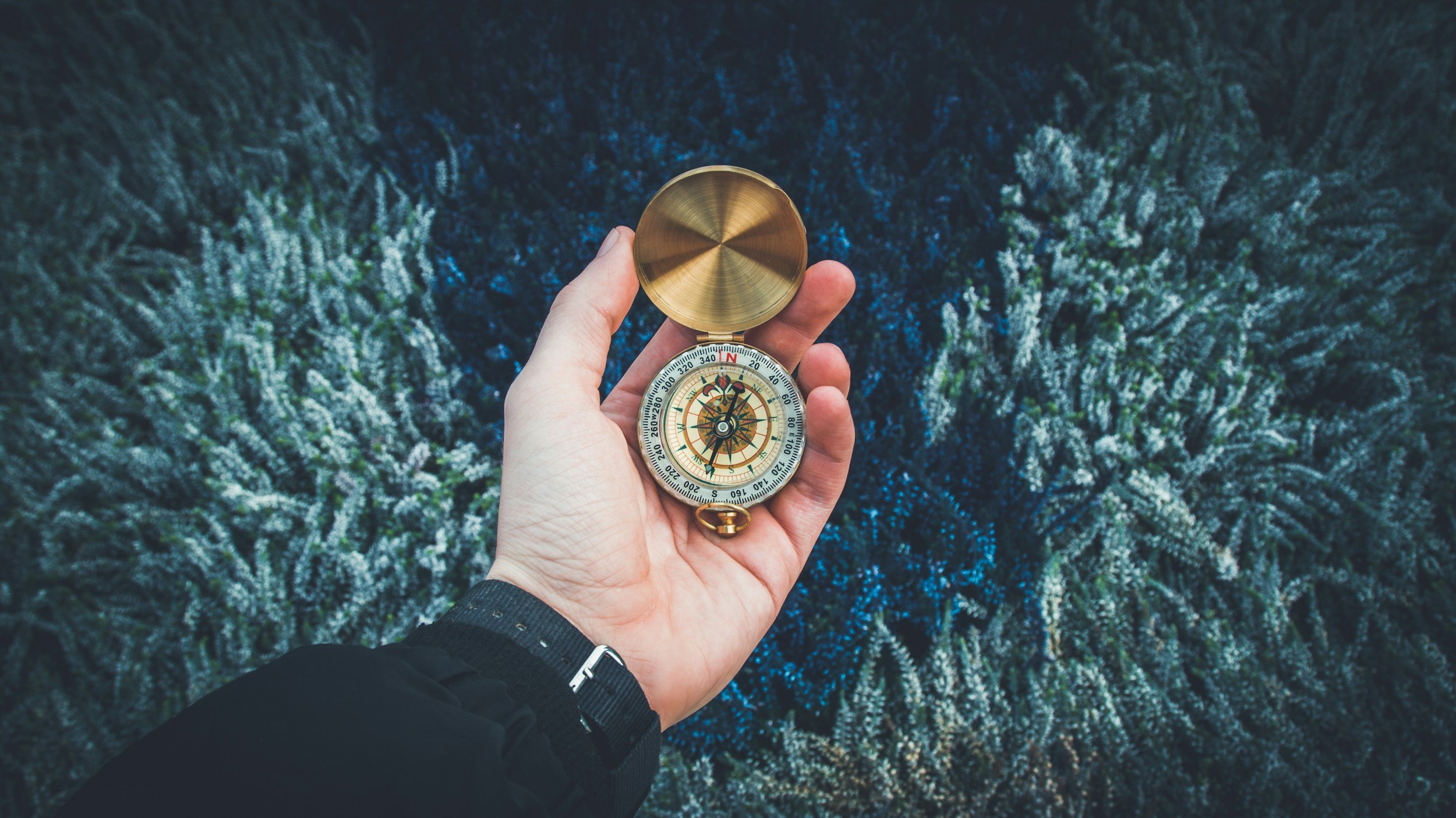 Hand holding a compass above a forest canopy.