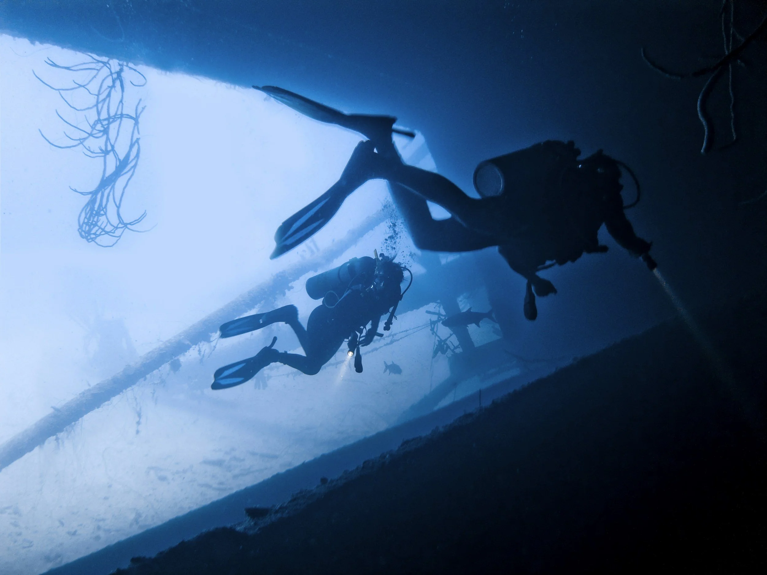 Silhouette of two scuba divers exploring underwater ruins with submerged trees and fish.