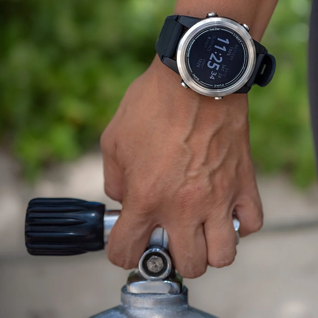 06 - Tern_on_wrist_diver_holding_scuba_tank.jpg