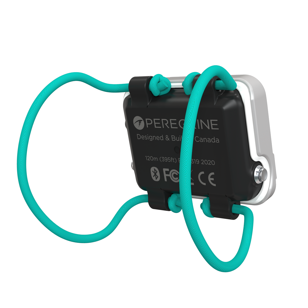 08 - Peregrine_Rear_Persp_Short_Teal-Shock-Cord_5f9b650b-31c5-4c08-ac57-3c509aacd6b2.png