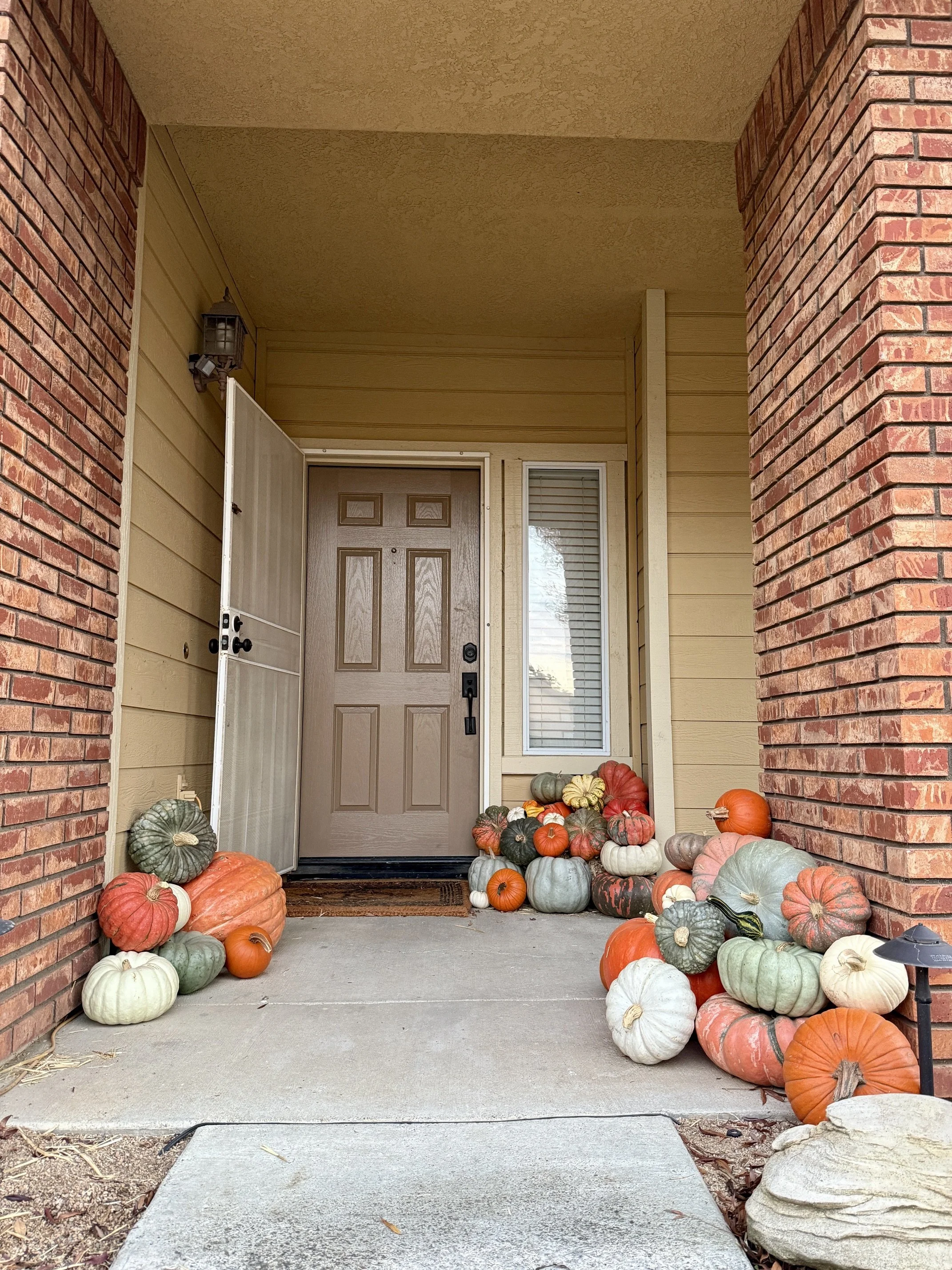 Fall Focal Point