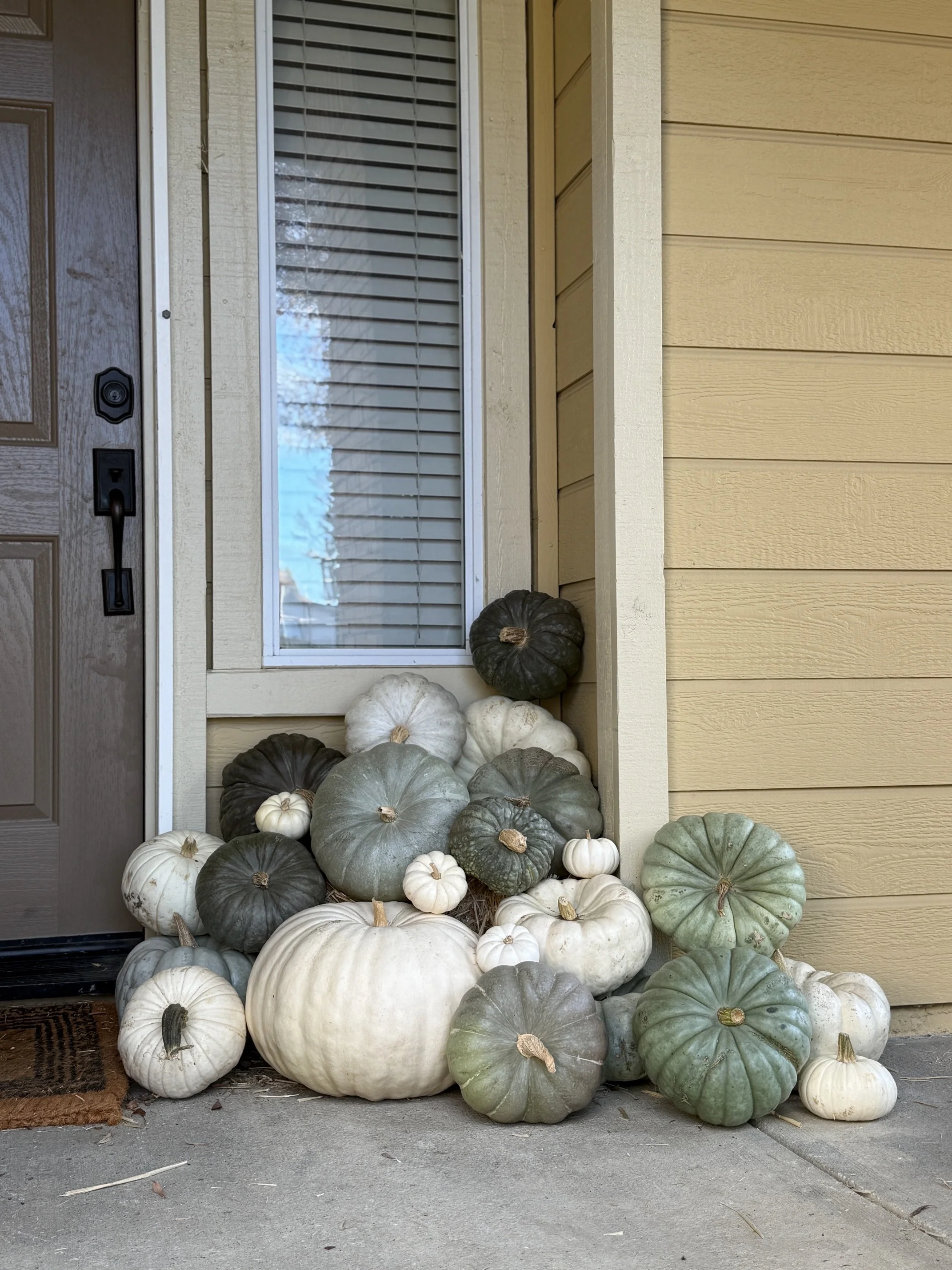 White Porch Pop.jpg