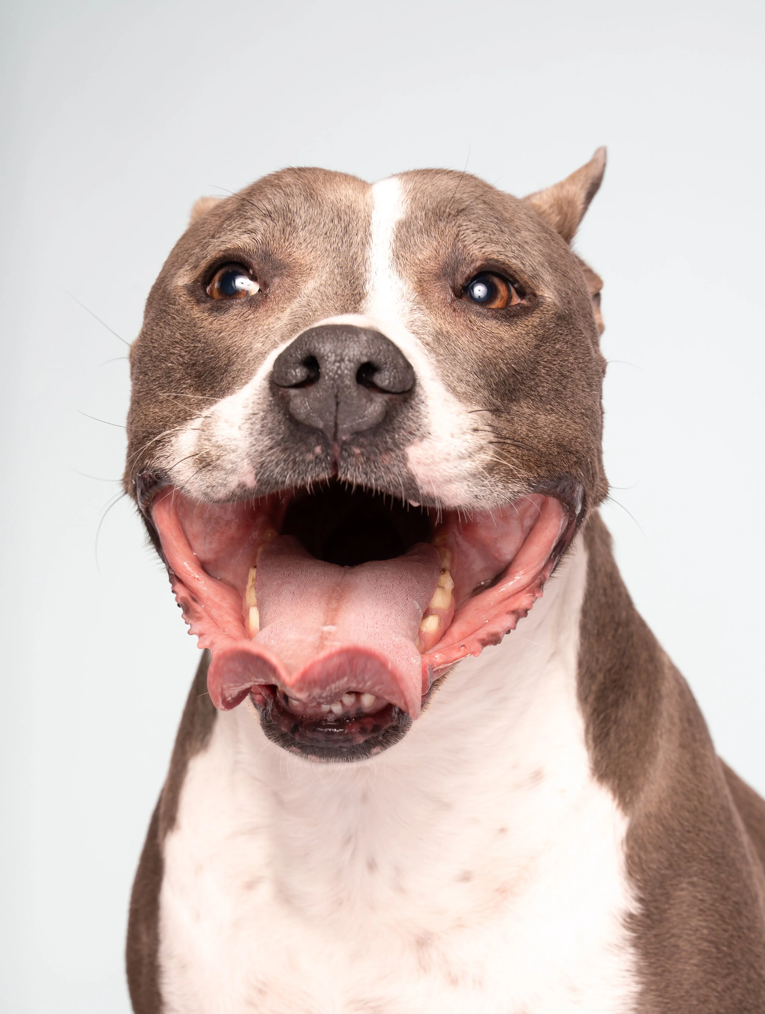 DSC03356.jpg