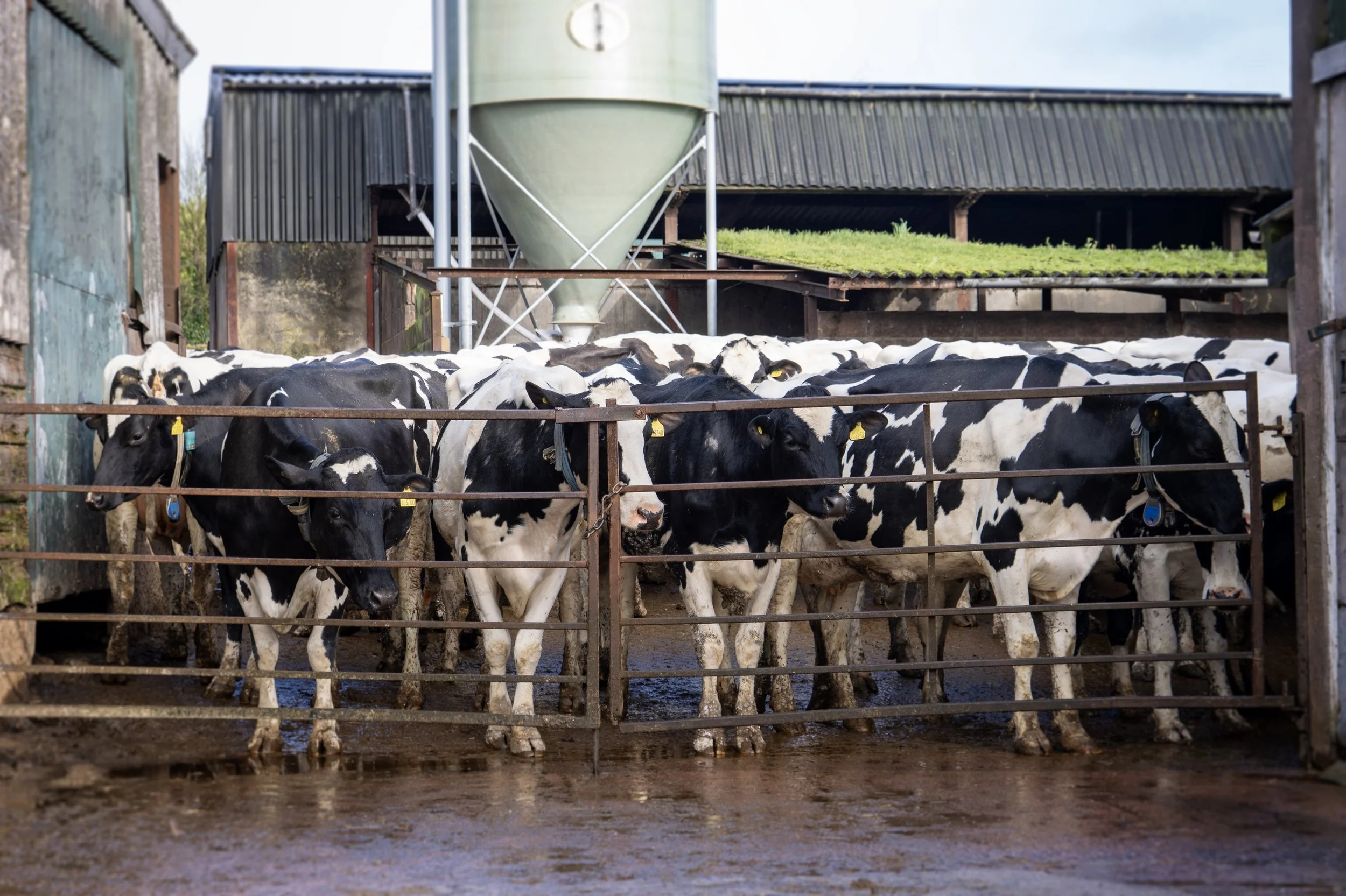 LOWER WHIPCOTT FARM, SOMERSET