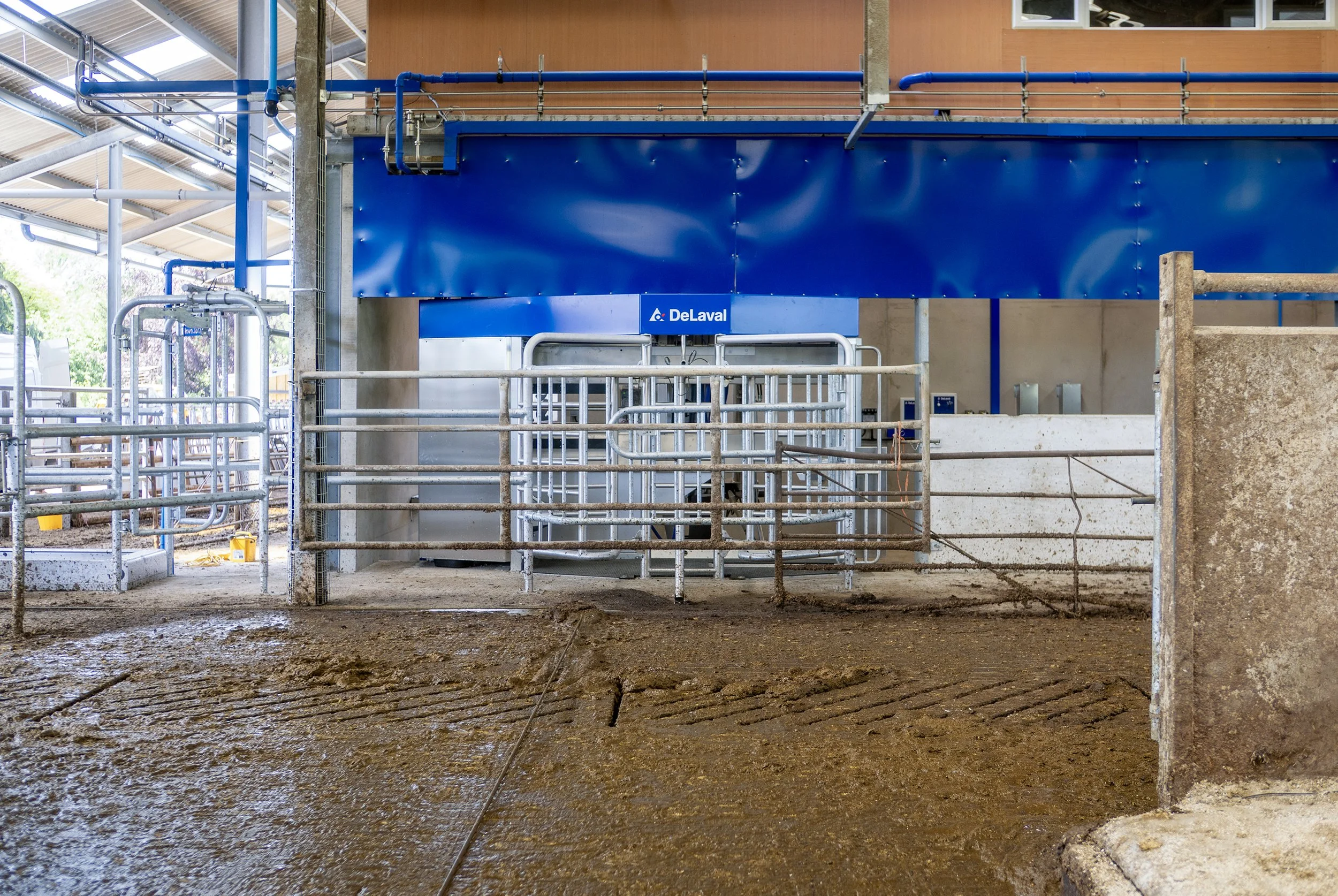 P1116552-2.jpg