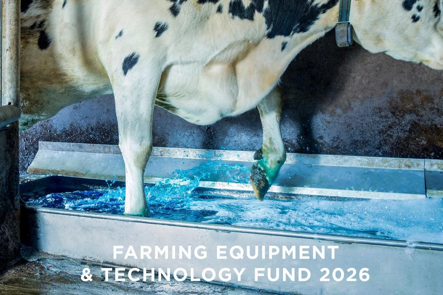 FARMING EQUIPMENT &amp; TECHNOLOGY FUND 2026

Put your best foot forward!

Another item available for FETF funding under &ldquo;improved animal health and welfare&rdquo; is the automatic Hoofcount Footbath.

Lameness is a significant welfare problem 