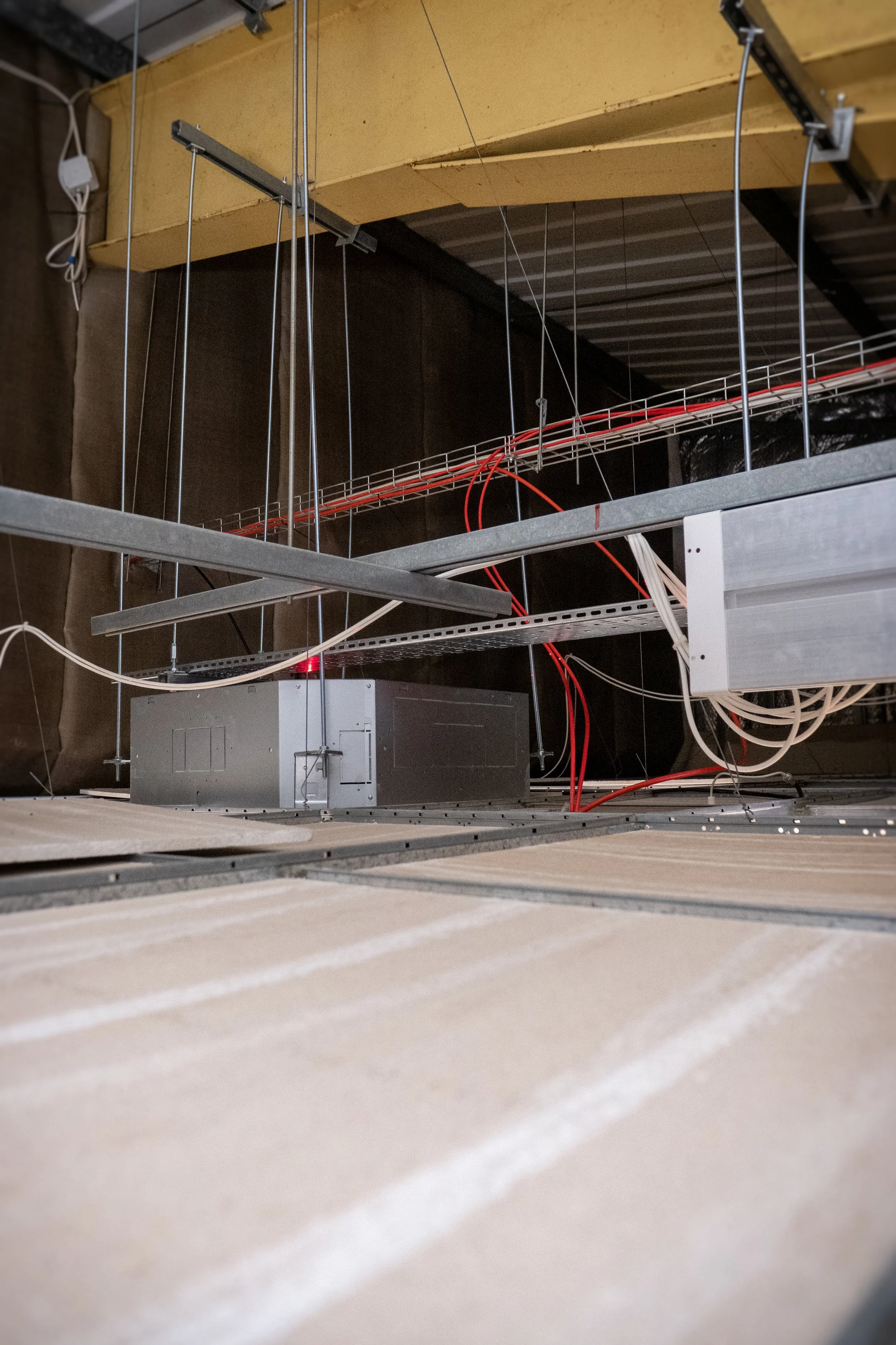P1444478-2.jpg