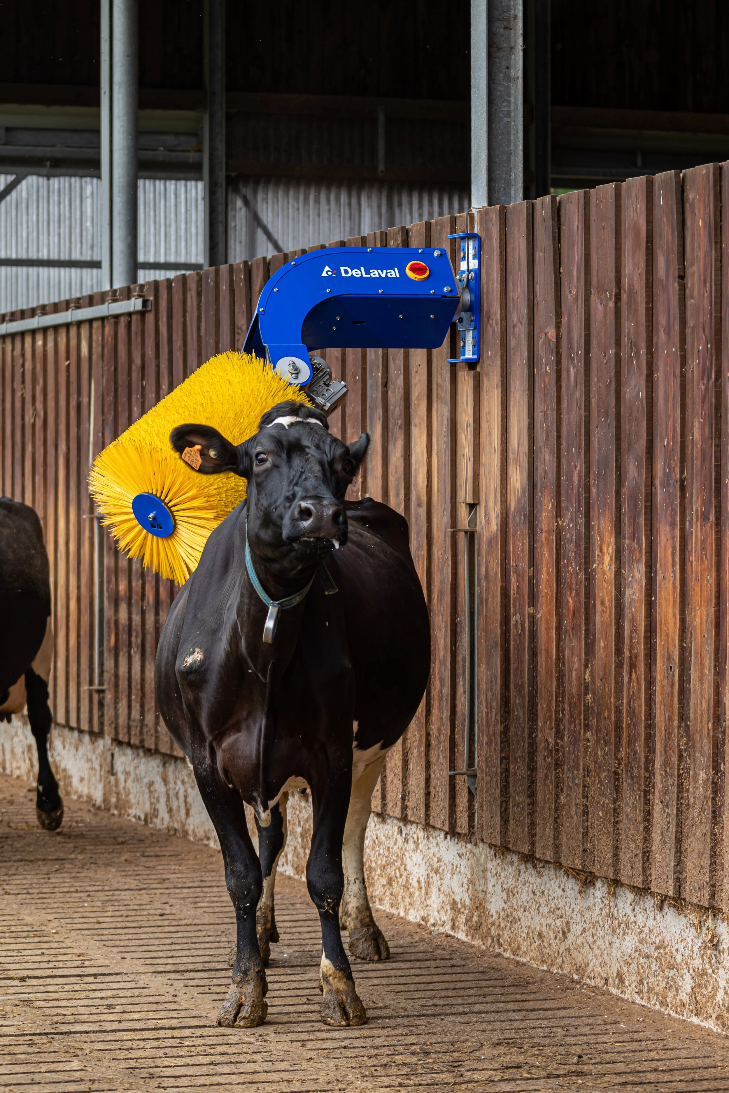 DELAVAL_SCB FL_TGUILLET_AGTRACKS-2556.jpg