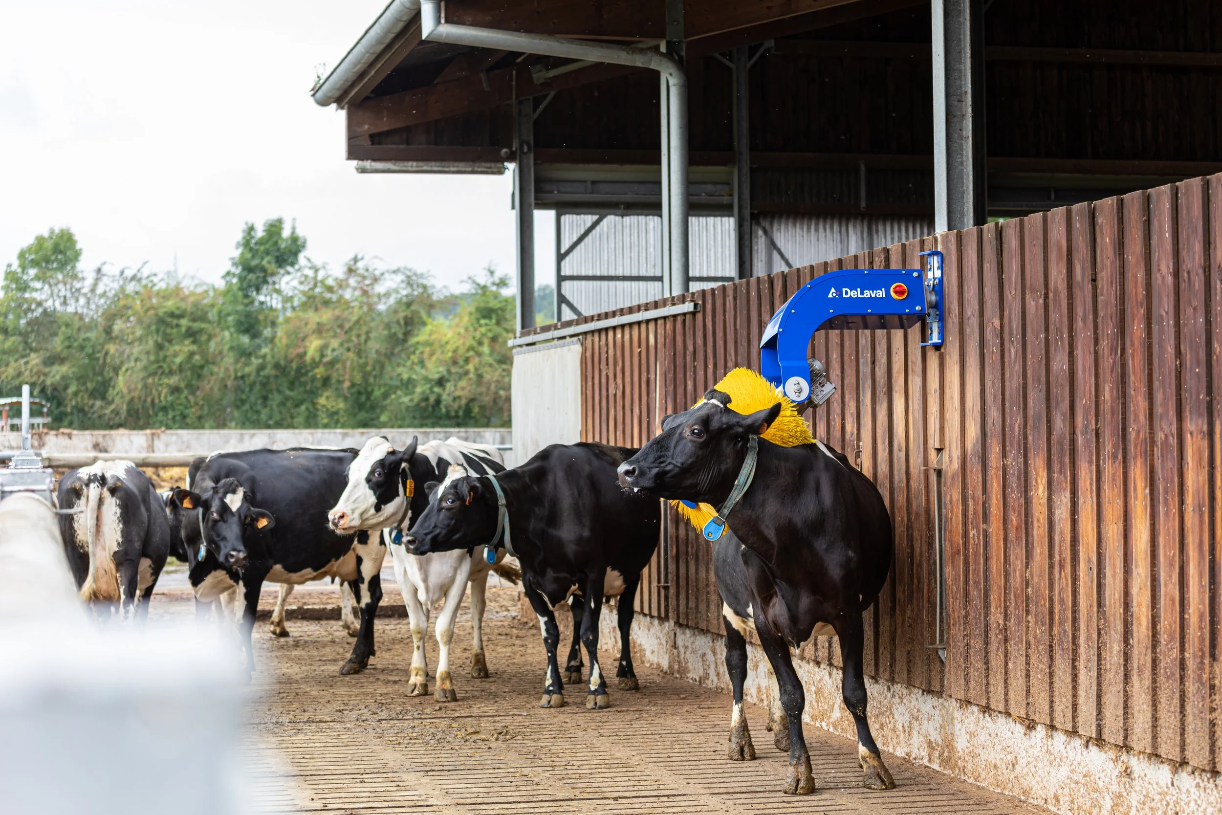 DELAVAL_SCB FL_TGUILLET_AGTRACKS-2527.jpg