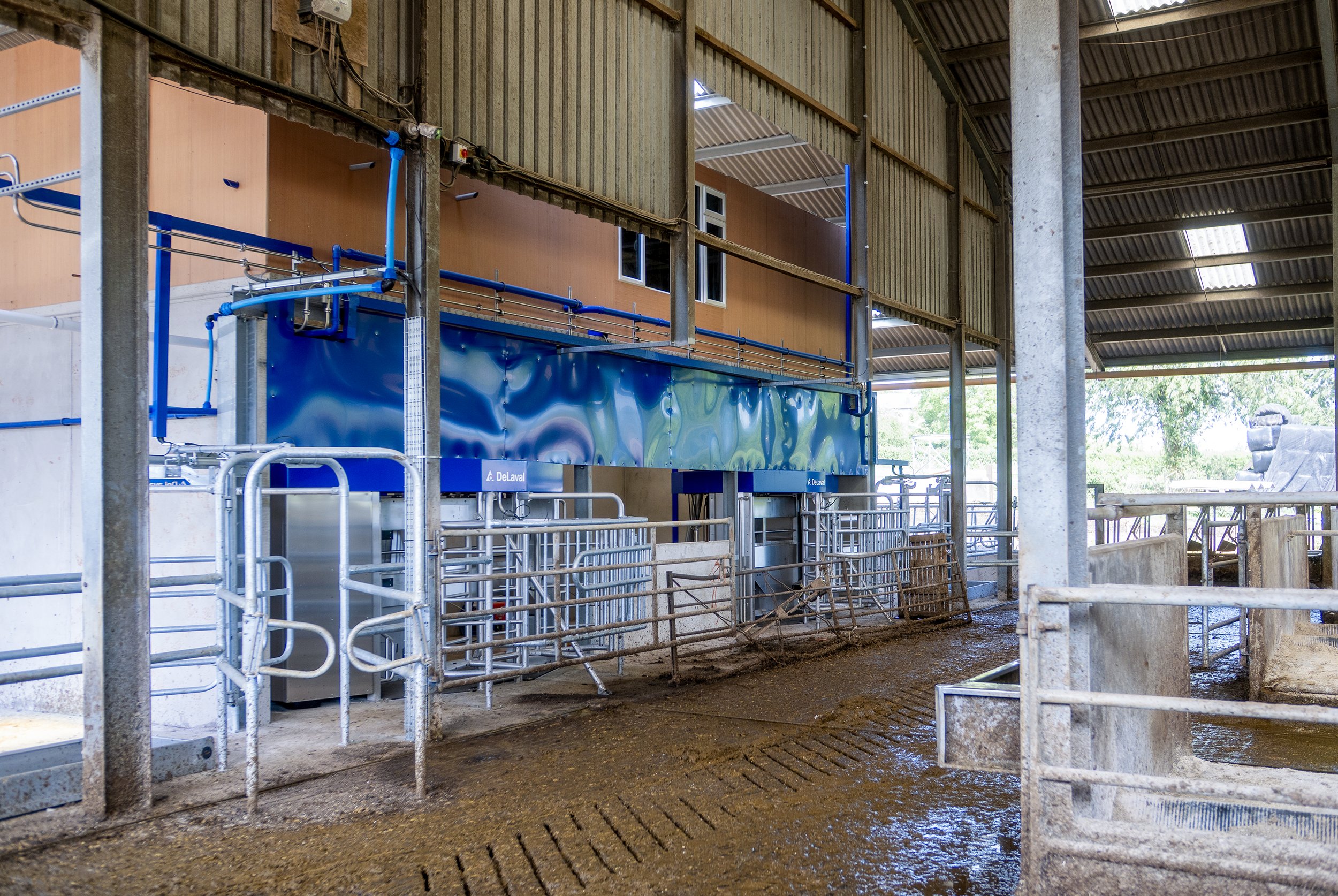 P1116642-1.jpg