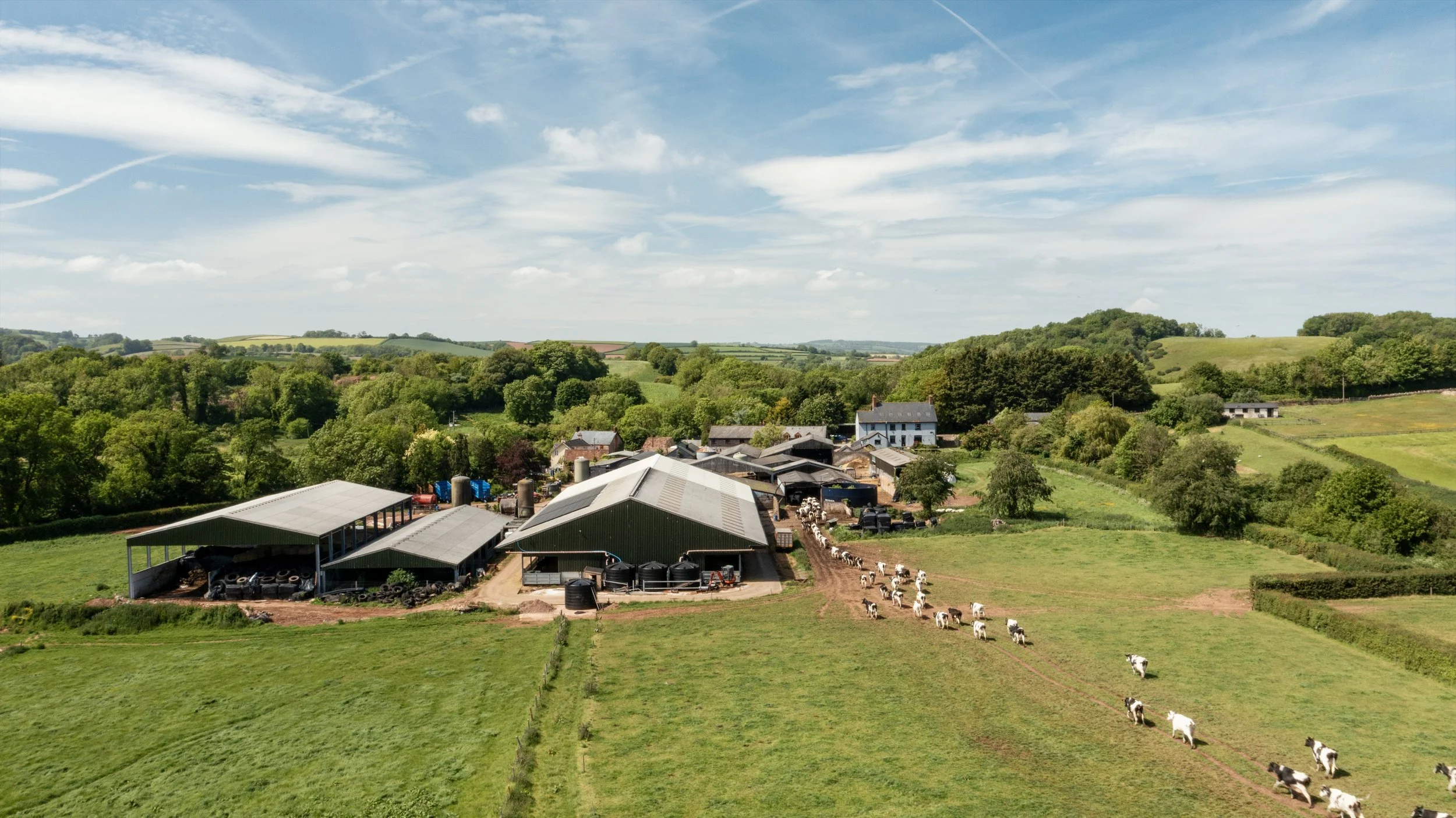 DJI_0477-4.jpg