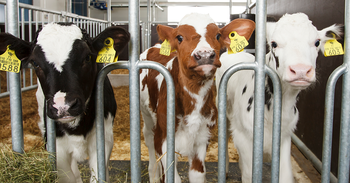 201903 Reproduction (clean).png