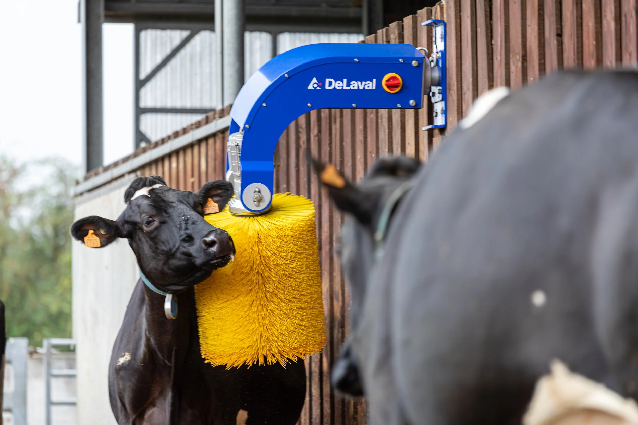 DELAVAL_SCB FL_TGUILLET_AGTRACKS-2618.jpg