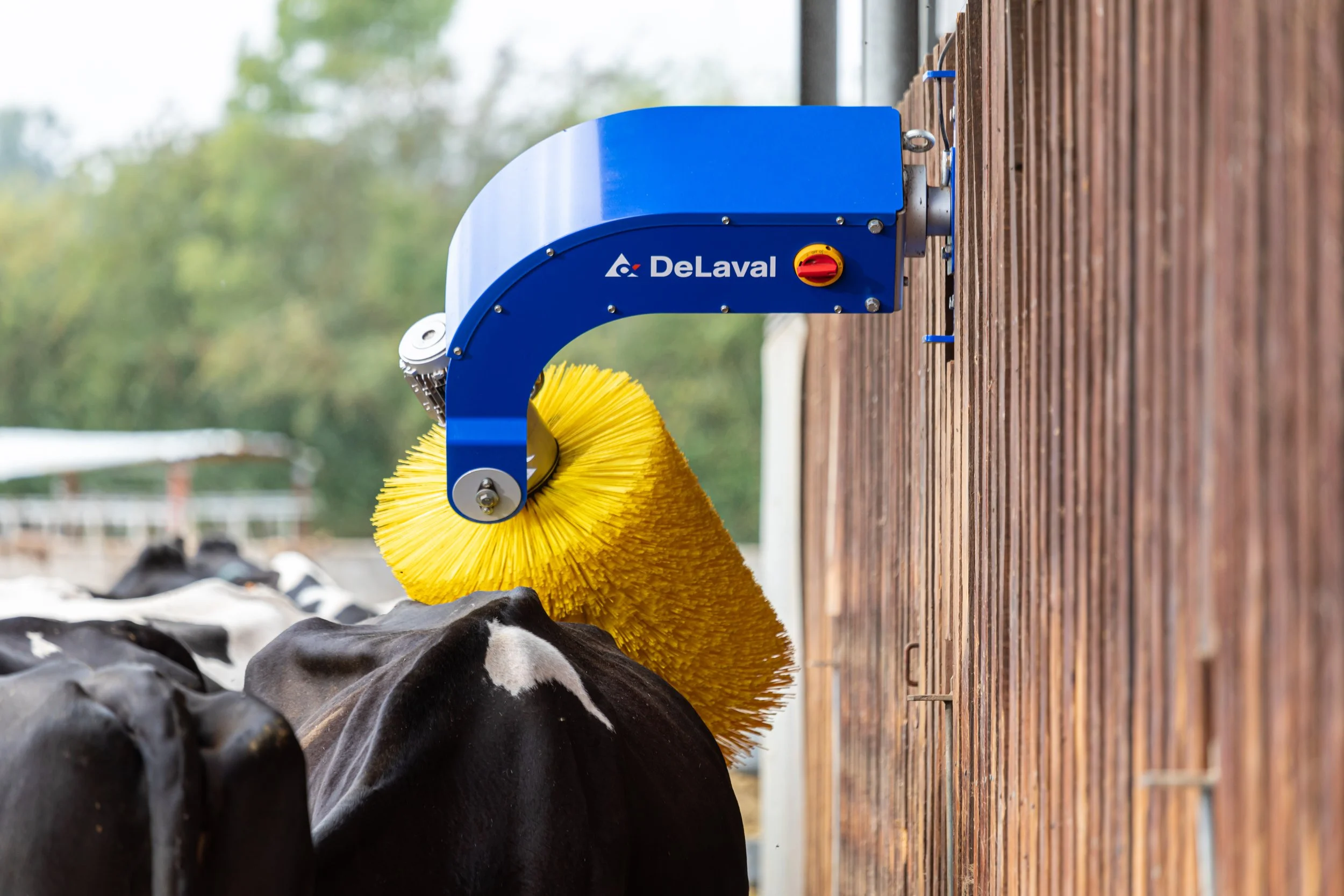 DELAVAL_SCB FL_TGUILLET_AGTRACKS-2667.jpg