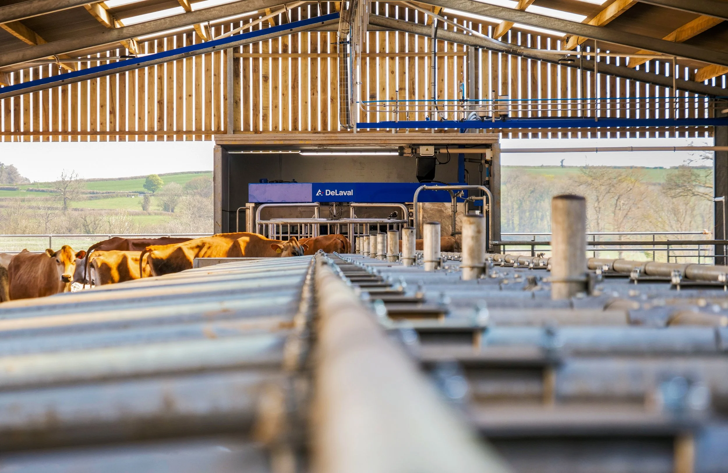 CHAPPLE FARM, MID DEVON